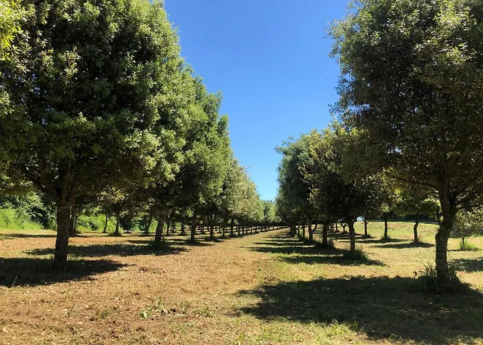 Chateau Des Loups - Les Pommiers Holiday home Echire