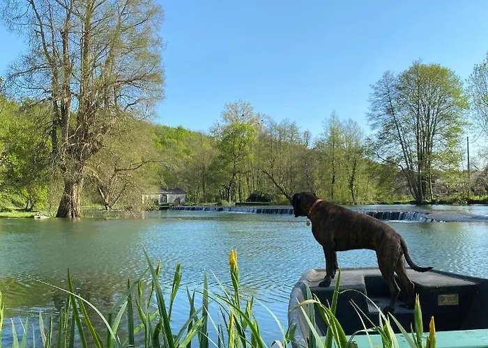 Chateau Des Loups - Les Pommiers Holiday home Echire